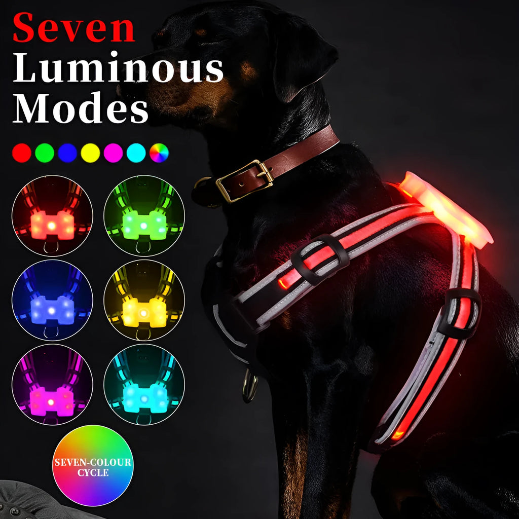 Nylon dog lead with luminous seven-colour strap and explosion-proof handle in adjustable sizes
