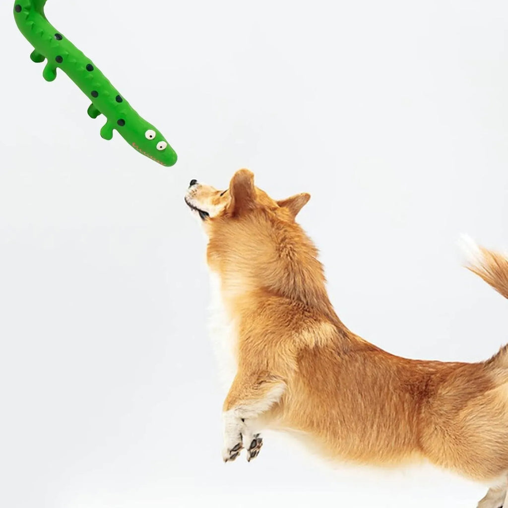 Green lizard-shaped dog chew toy with squeaker, measuring 24 cm long for aggressive chewers