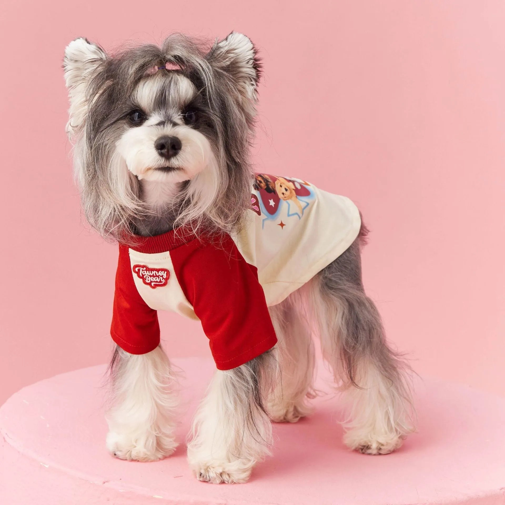 Cotton dog summer clothes in embroidered red or pink colours available in six sizes