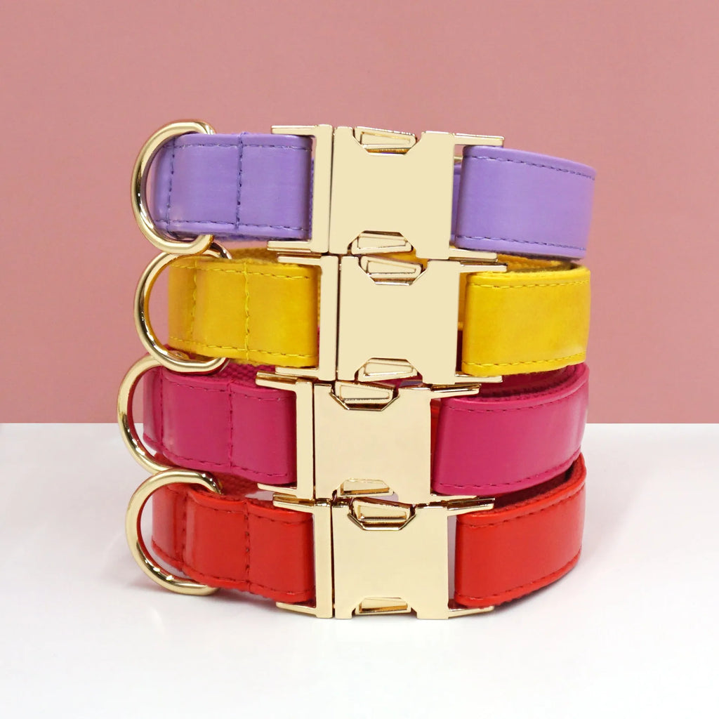 Leather dog collar with colour-block velvet design shown in multiple colour options