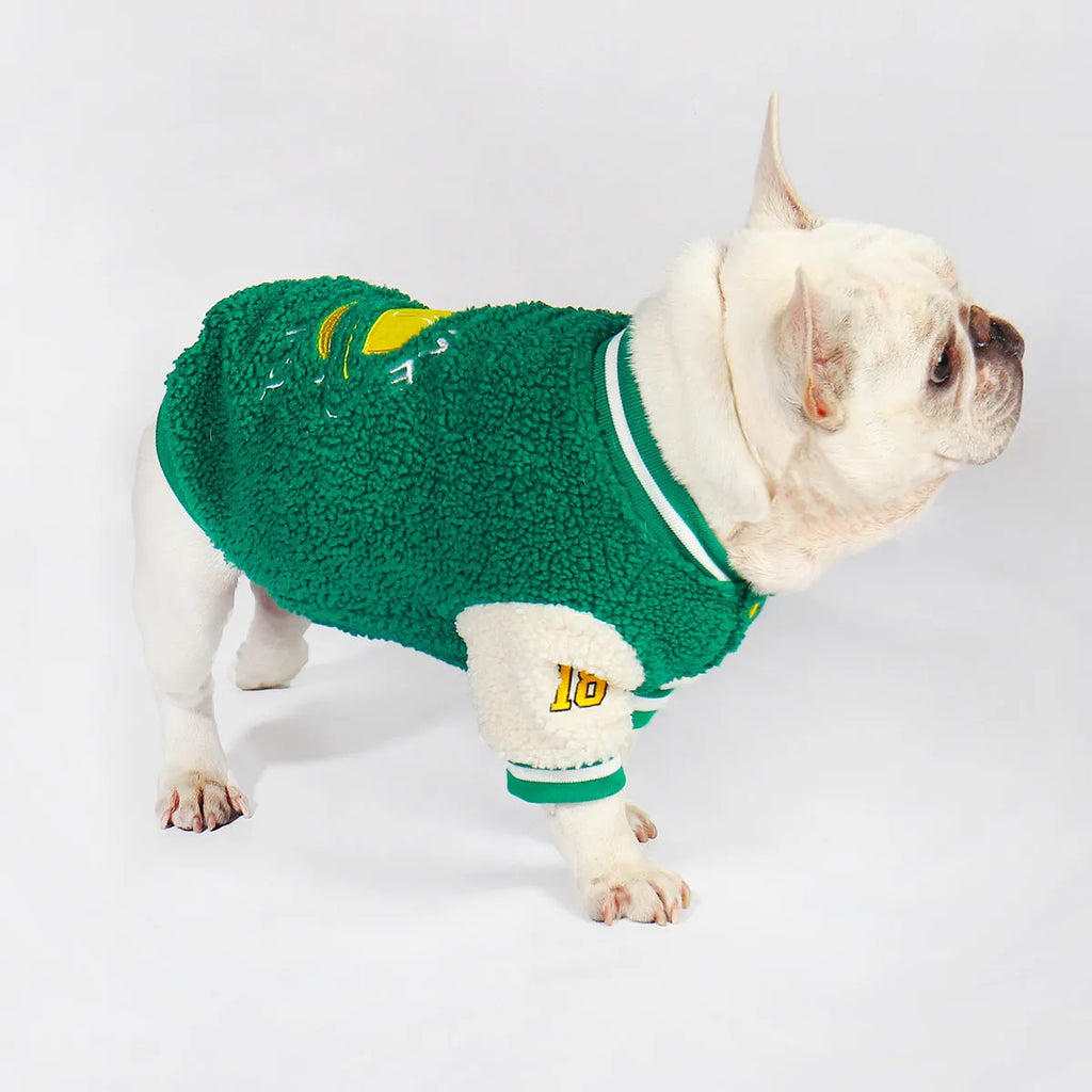 Green fleece-lined dog winter coat shown on model dog