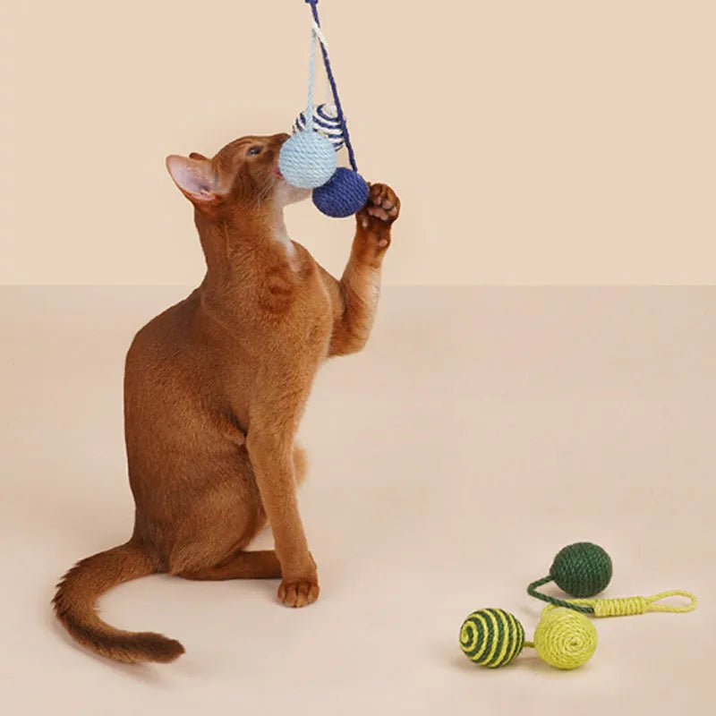 Cat toy set with teaser stick and assorted catnip balls in blue, green, red, yellow colours.