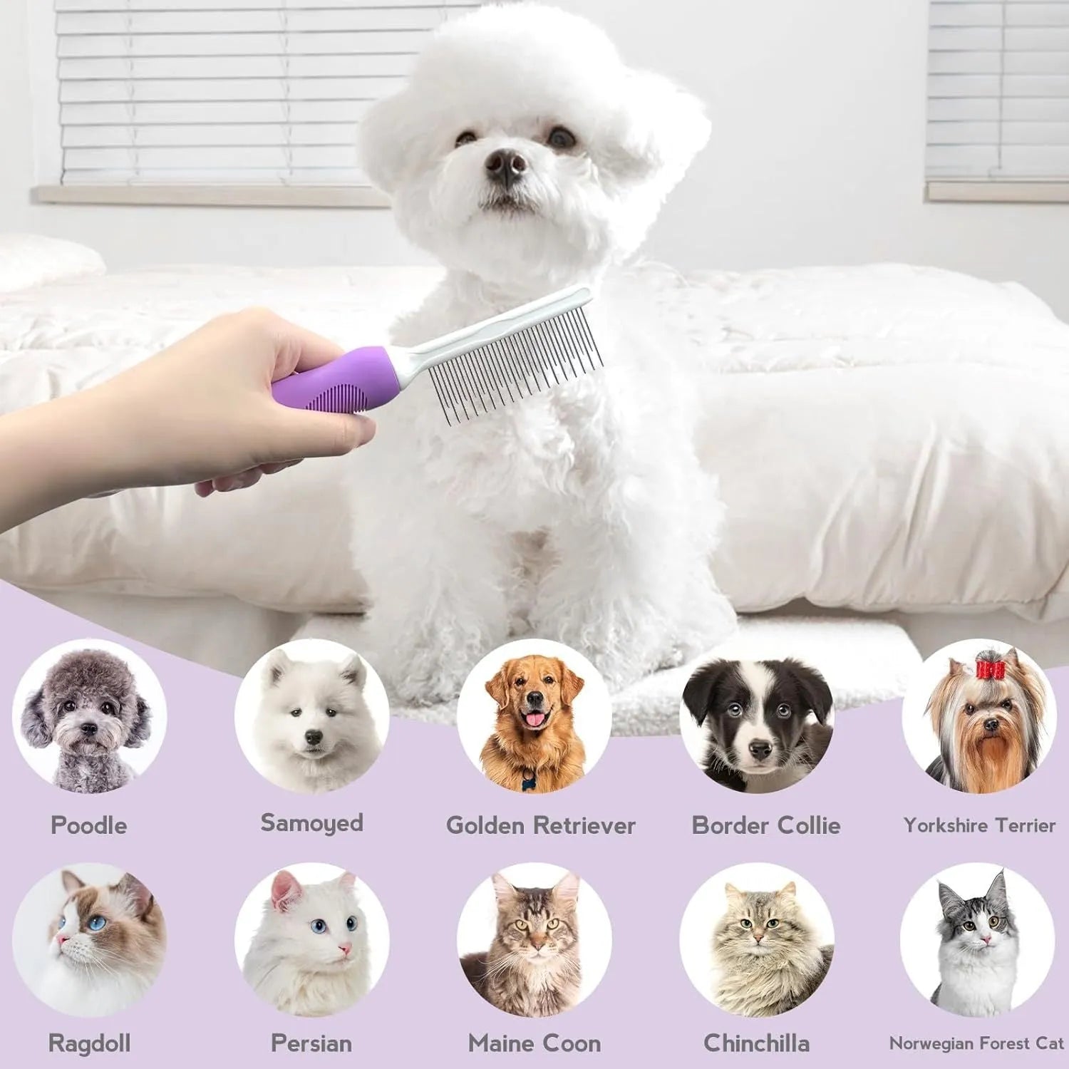 Purple pet detangling comb with stainless steel teeth for dogs and cats on white background