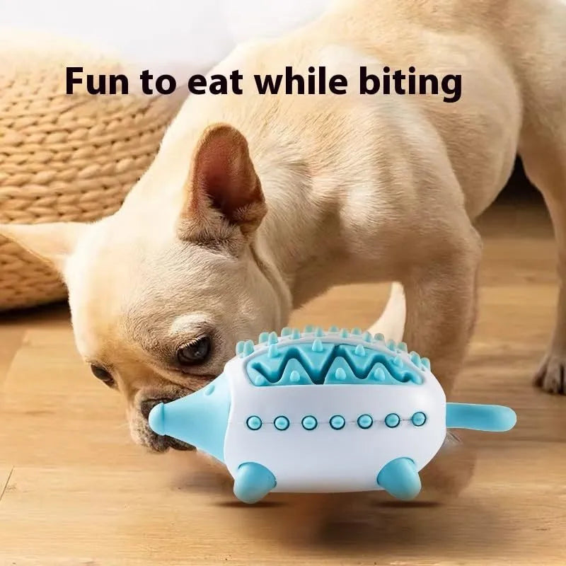 Interactive dog treat chew toy, food-leaking squeaky ball for puppies and large dogs, teeth cleaning, blue green pink