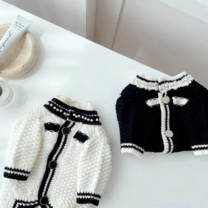 White Korean style dog sweater with pearl collar on a small dog, showing Princess design