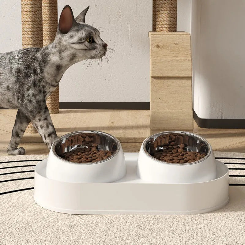 White elevated pet feeder with two tilted bowls on a separate rack, for cats and small dogs.
