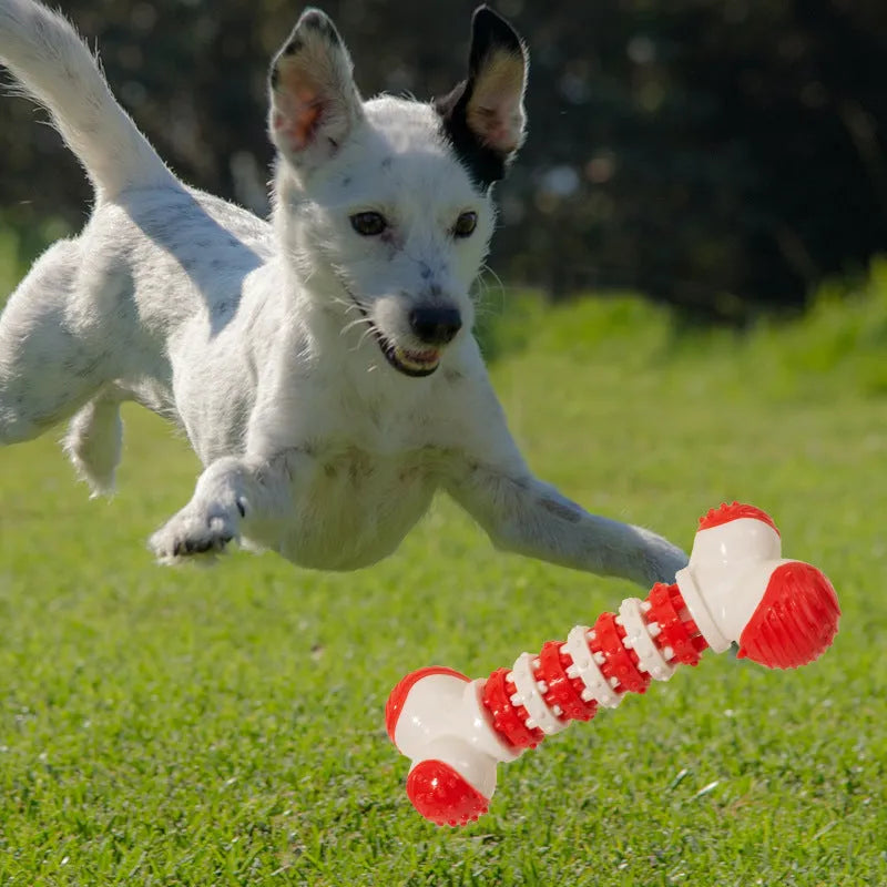 Blue bone-shaped interactive dog toy with chewable ends and central treat compartment for small breed dogs