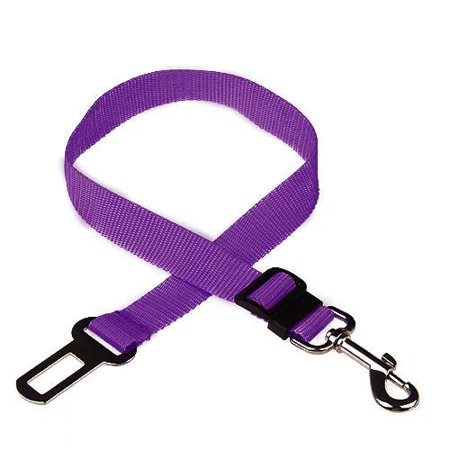 Adjustable dog car safety seat belt restraint in orange, 2.5cm width