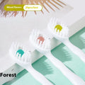 Box of 20 disposable bead toothbrushes with pre-pasted heads for travel and convenience