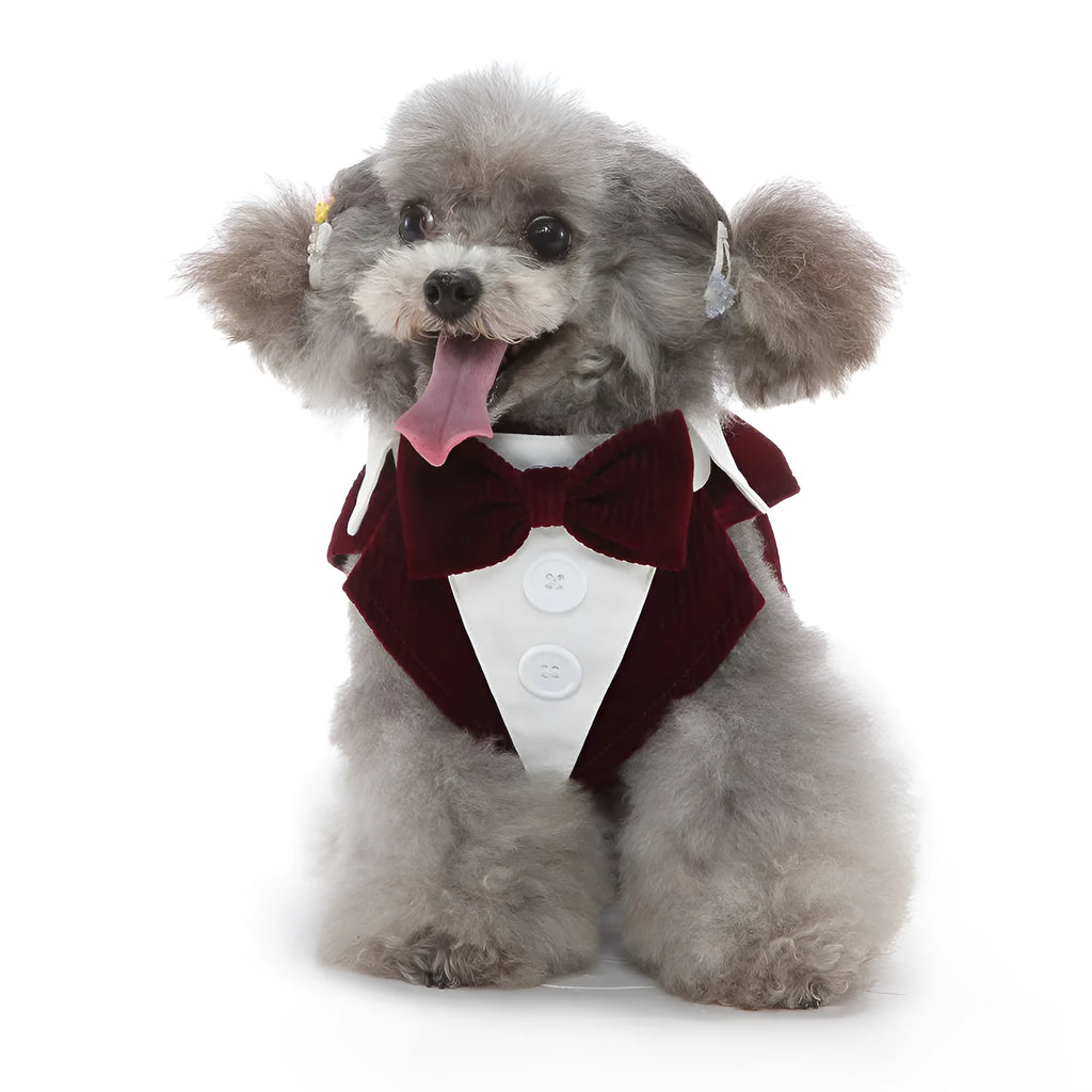 Dog tuxedo dress in polyester, sizes XS to XL, adjustable bust and collar, available in multiple colours.