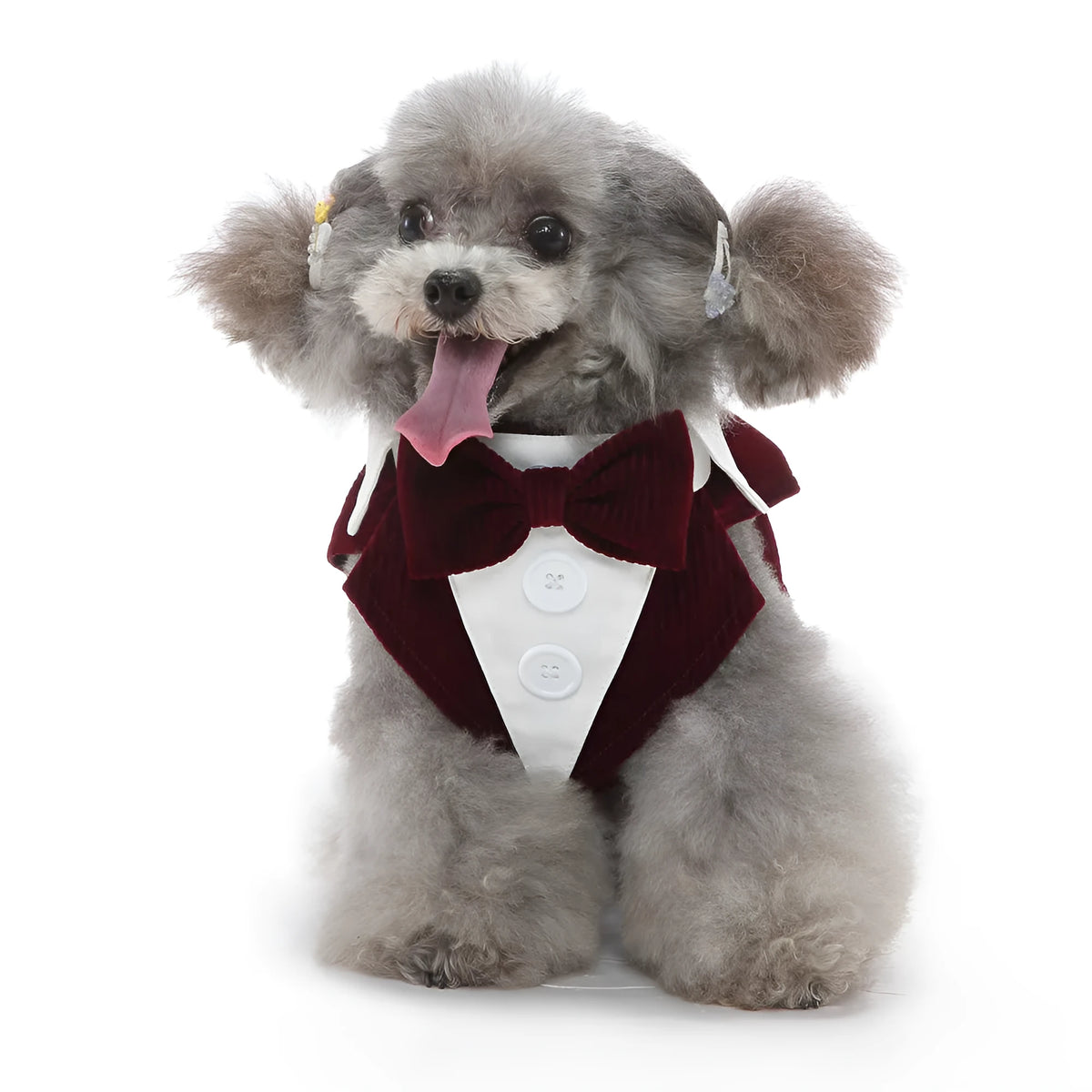 Dog tuxedo dress in polyester, sizes XS to XL, adjustable bust and collar, available in multiple colours.