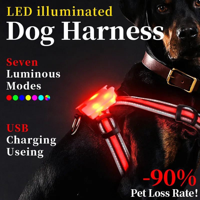 Nylon dog lead with luminous seven-colour strap and explosion-proof handle in adjustable sizes