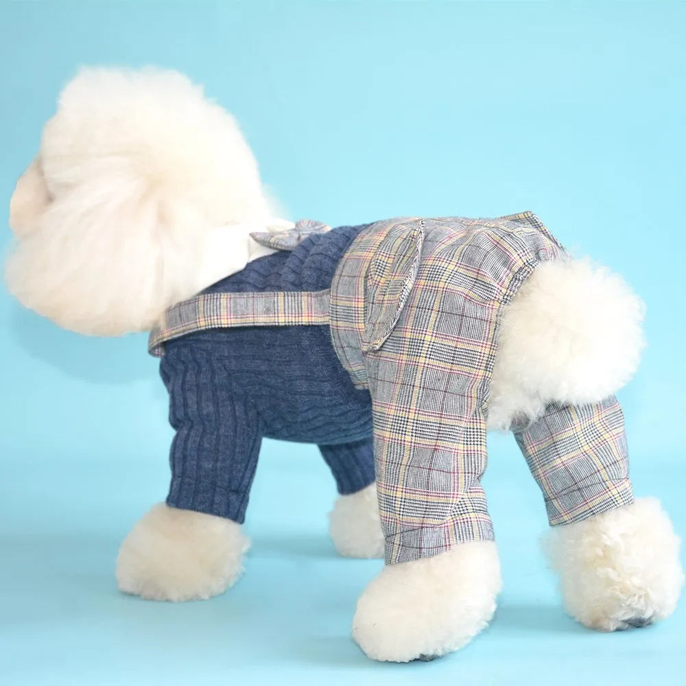 A small dog wearing a dark blue cotton shirt, showing the standard shirt fit on a pet.