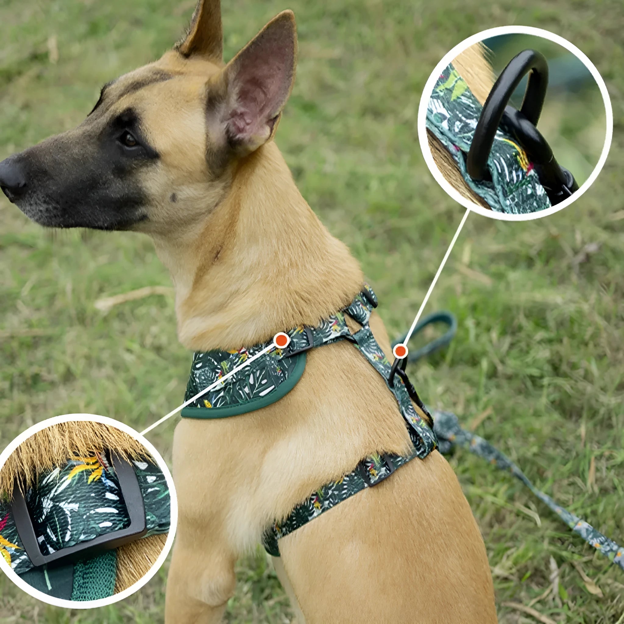 Adjustable cloth vest dog harness set with leash, collar, waste bag, bow tie, and bib in multiple colours
