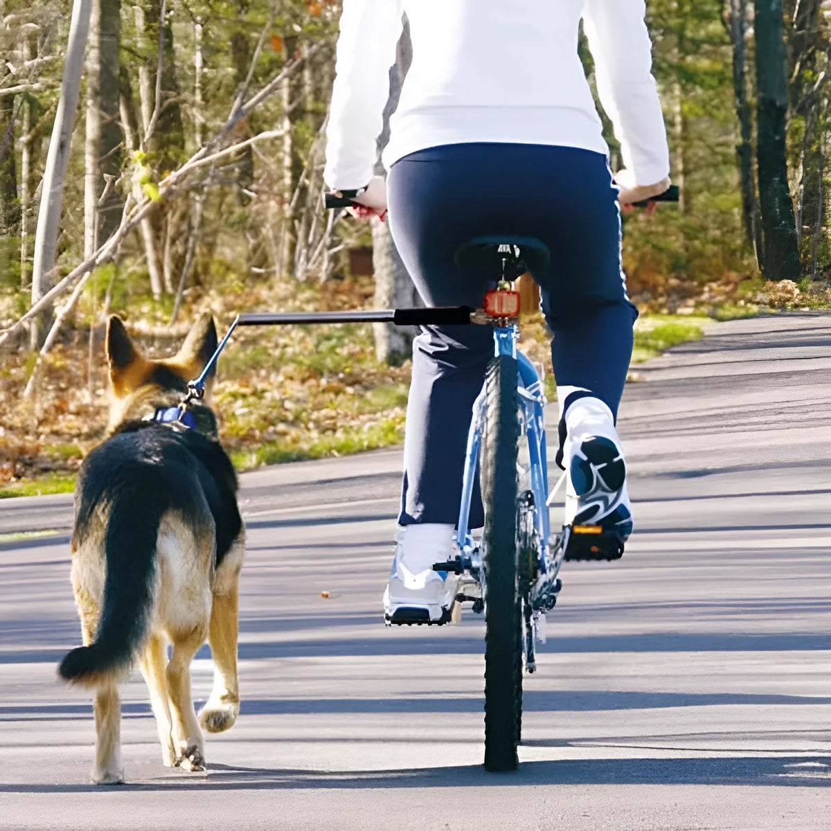 Bicycle dog walking hand holding rope pet traction lead with stainless steel chain ring on white background