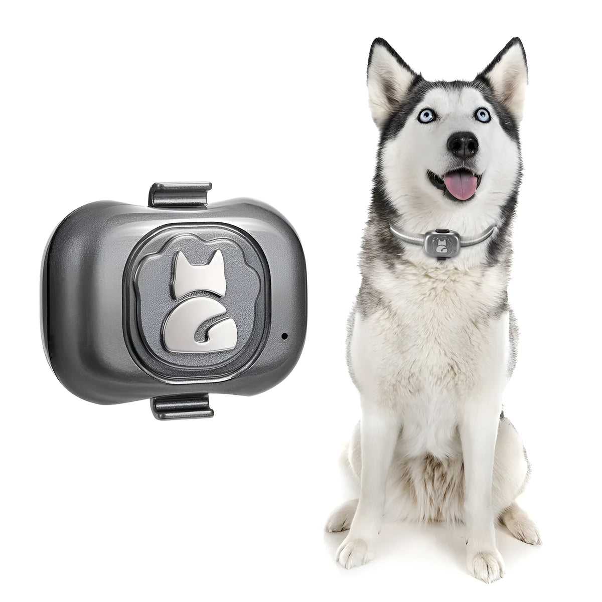 Black ABS pet GPS locator with hanging rope showing data cable connection and waterproof housing for animal tracking