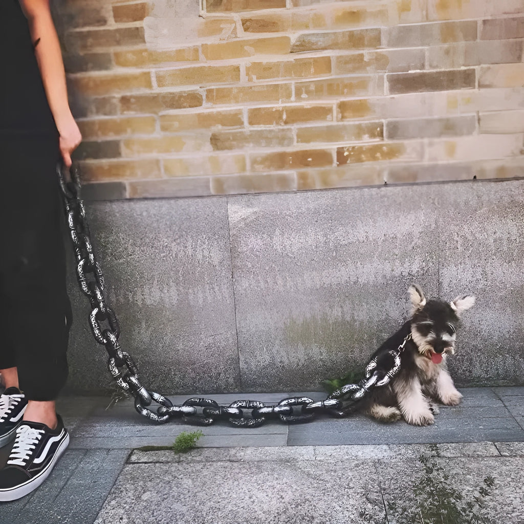 PP dog leash with metal clip in bronze colour showing length options for medium to large dogs