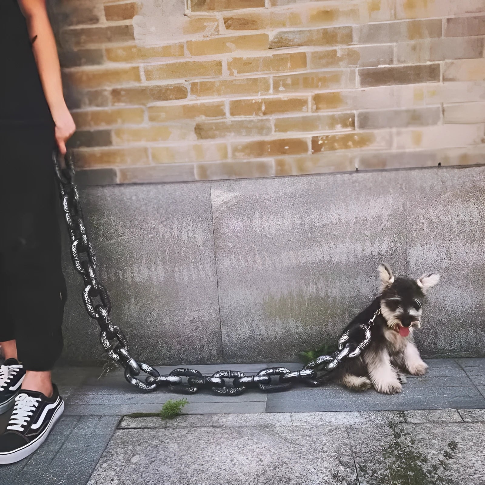 PP dog leash with metal clip in bronze colour showing length options for medium to large dogs