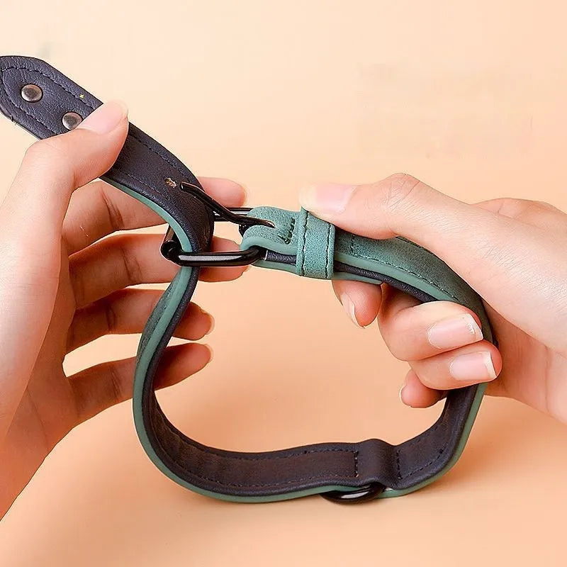 Adjustable anti-loss dog collar showing double-layer thickening construction in available colour options
