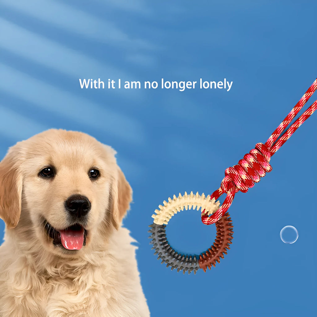 Blue braided rope dog toy with a central knot, shown next to a red and rose red version.