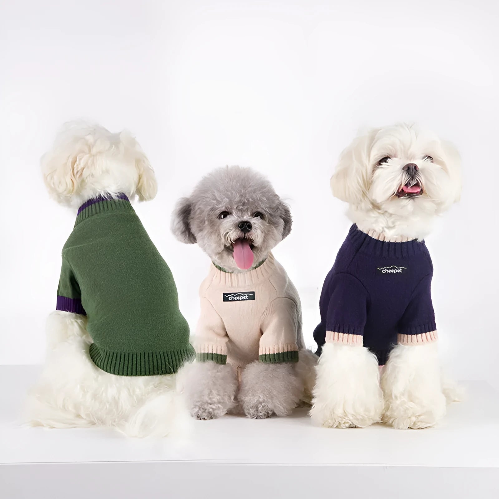 British style wool pet sweater with contrast colour legs in Crown Blue