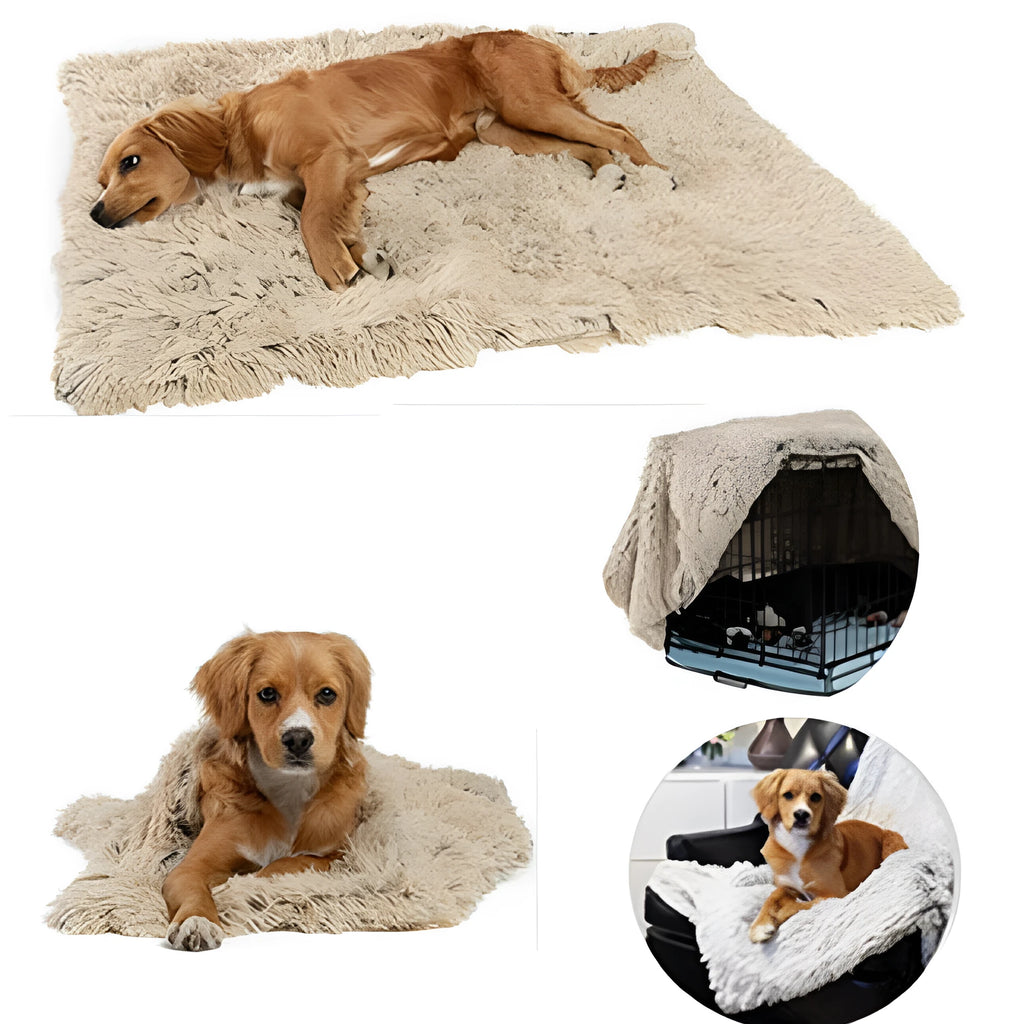 Soft dark grey long plush dog blanket shown next to a large dog in a home setting.