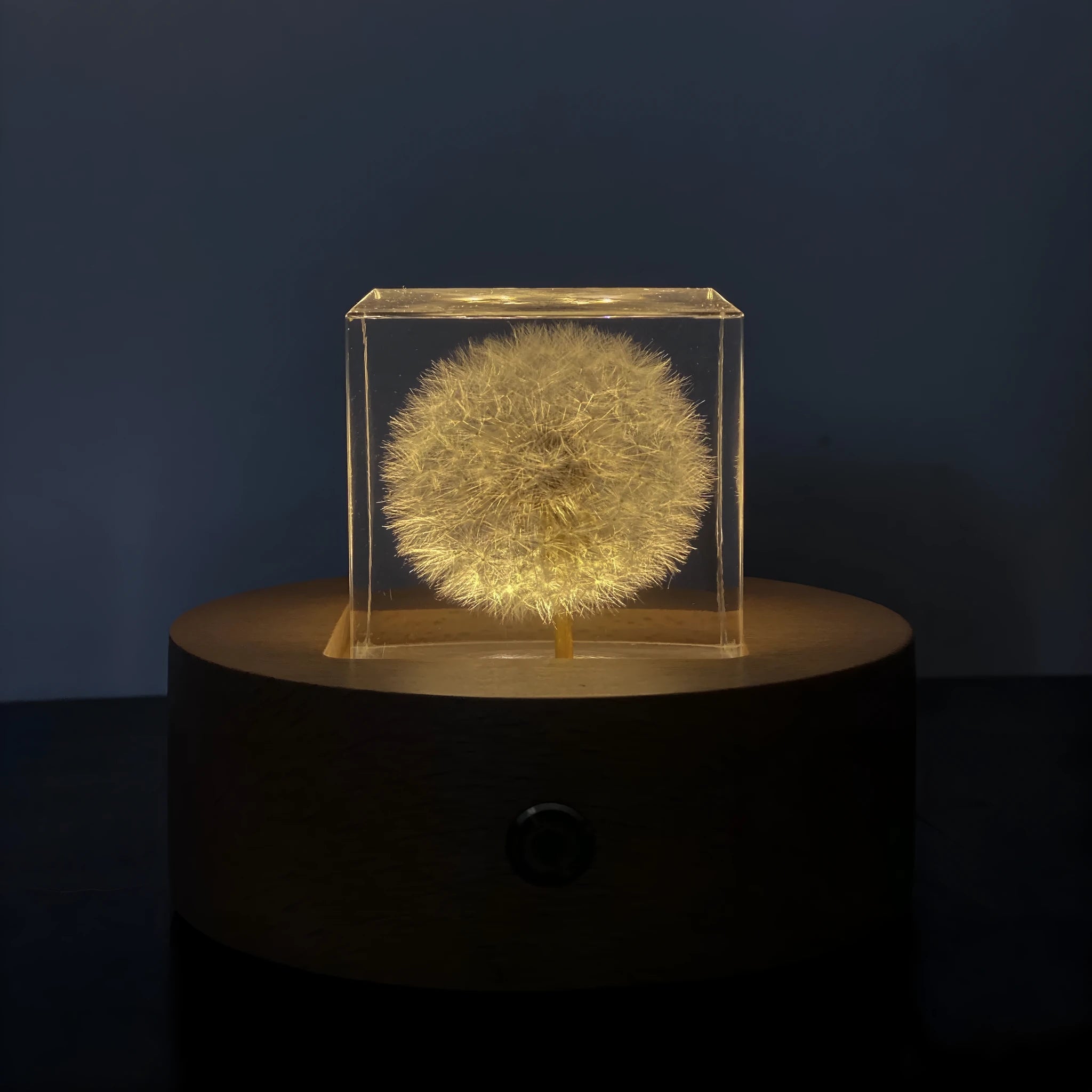 Clear 5cm resin cube containing a preserved white dandelion flower on a wooden USB charging base.