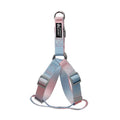 Nylon dog leash in a pink and blue gradient colour pattern.