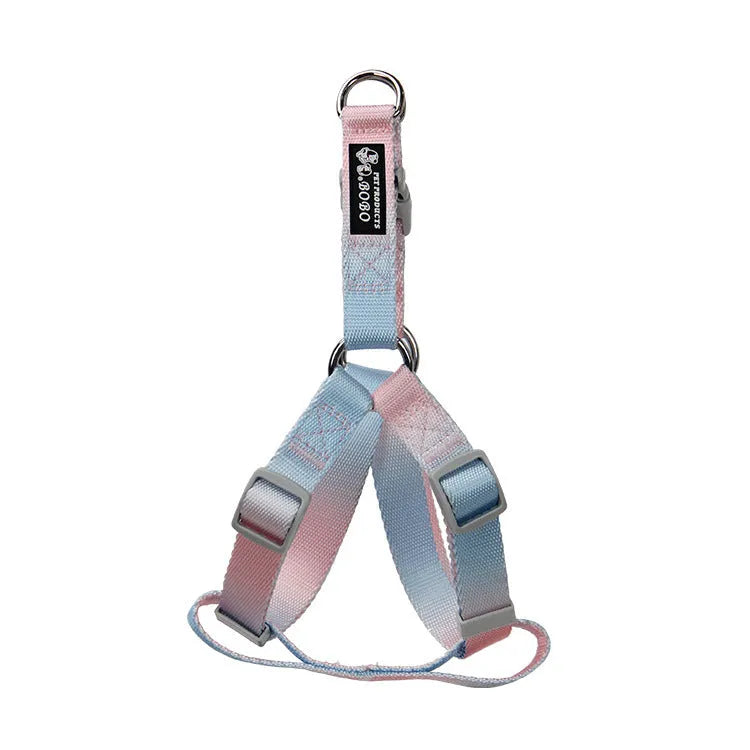 Nylon dog leash in a pink and blue gradient colour pattern.