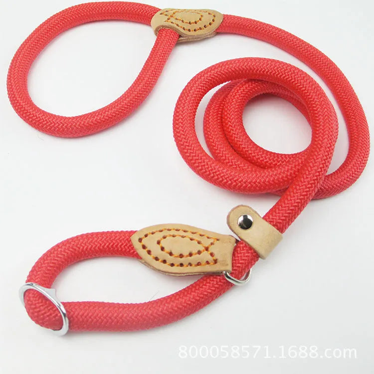 Brown nylon dog lead with P-chain handle showing rope-style construction