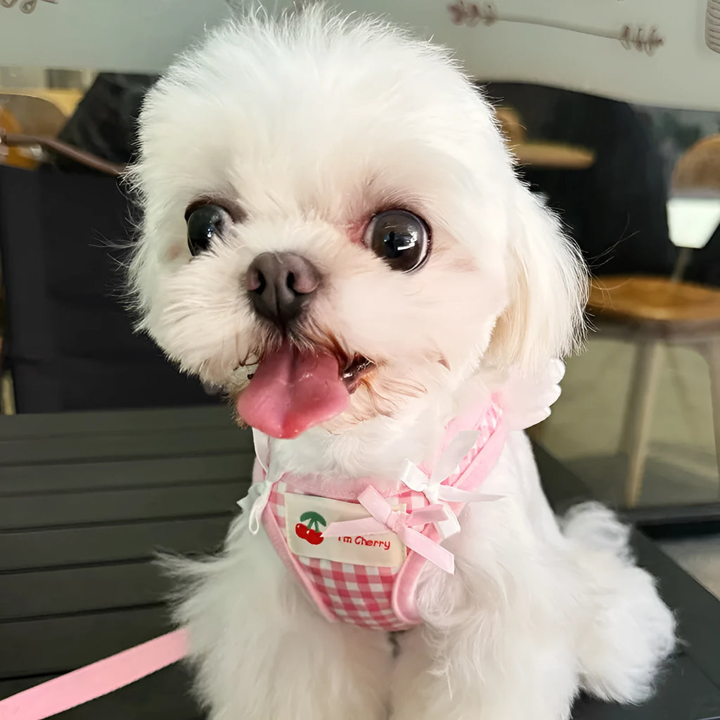Pink cotton dog harness with chest and back connection points for small breed walking control