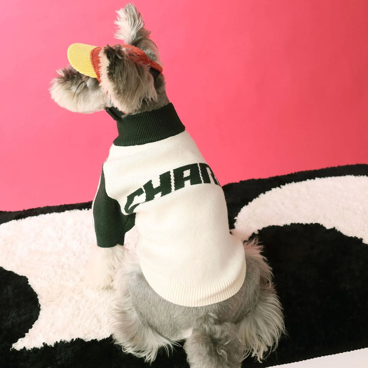 Red wool sports cardigan for dogs on mannequin showing casual pet clothing