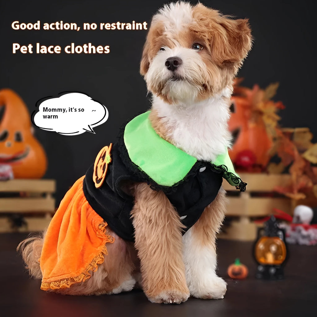 Halloween pumpkin skirt pet costume for small dogs in crystal velvet fabric with size options