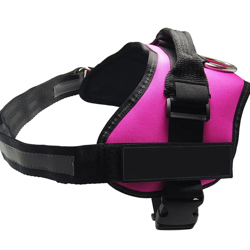 Customisable adjustable dog harness with reflective trim shown on a dog.