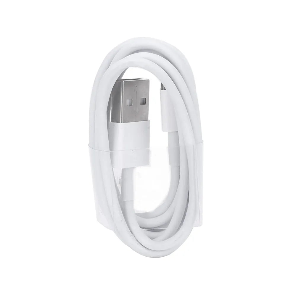5V 2A USB travel charger for iPhone and iPad models with USB interface