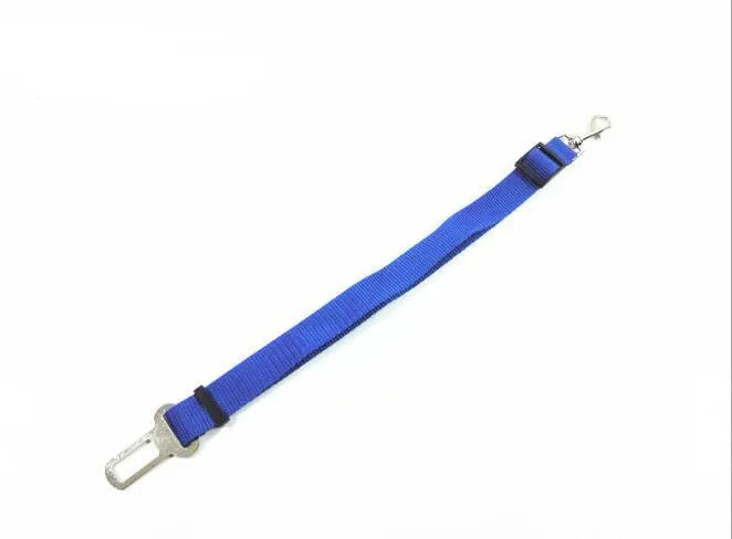 Adjustable dog car safety seat belt restraint in orange, 2.5cm width