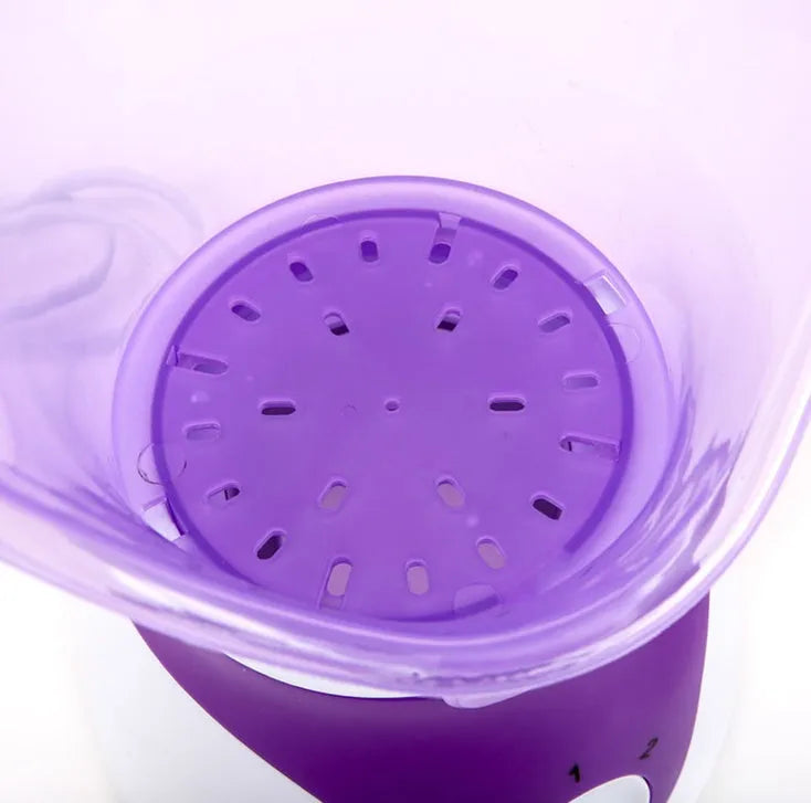 AIDU ion hot spray facial steamer with purple decorative ring and face mask