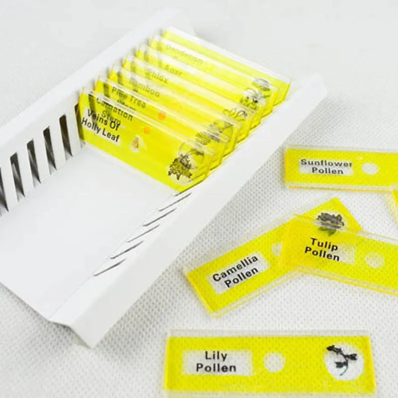 48 plastic microscope slides with colour-coded edges showing plant and animal specimens for children's science education