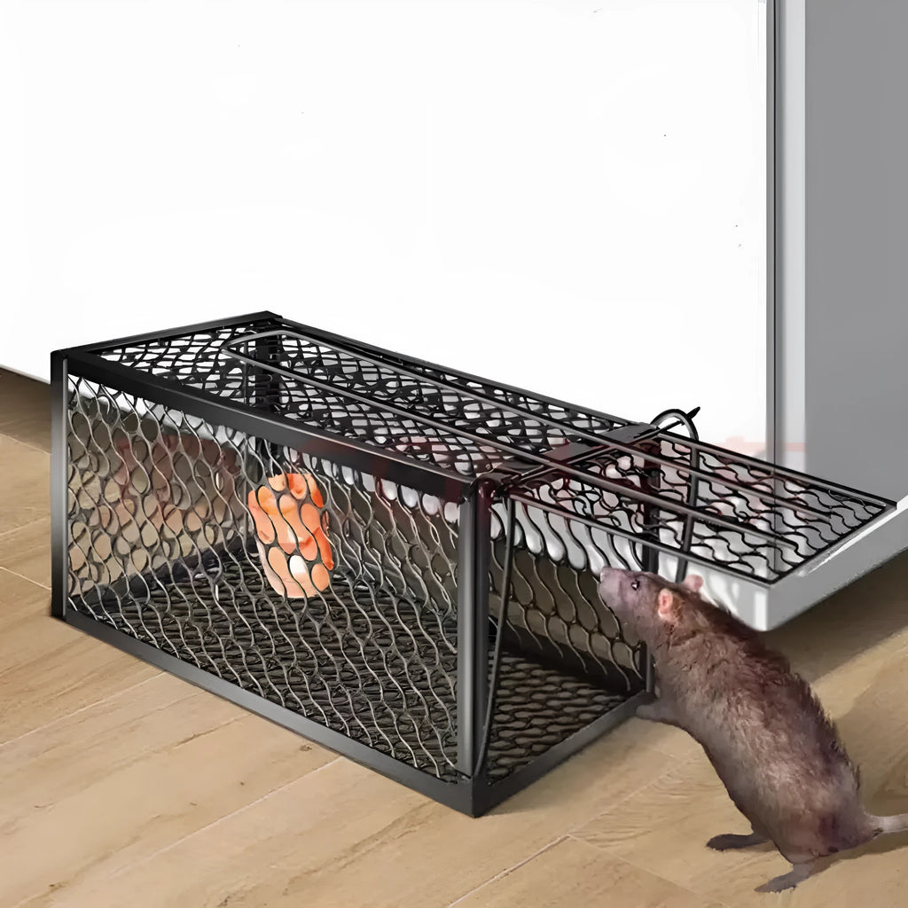 Automatic mouse trap cage for indoor home use in three sizes with metal and plastic construction