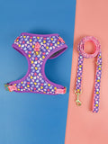Polyester dog haulage rope set in blue ice cream colour with chest-back harness and matching lead