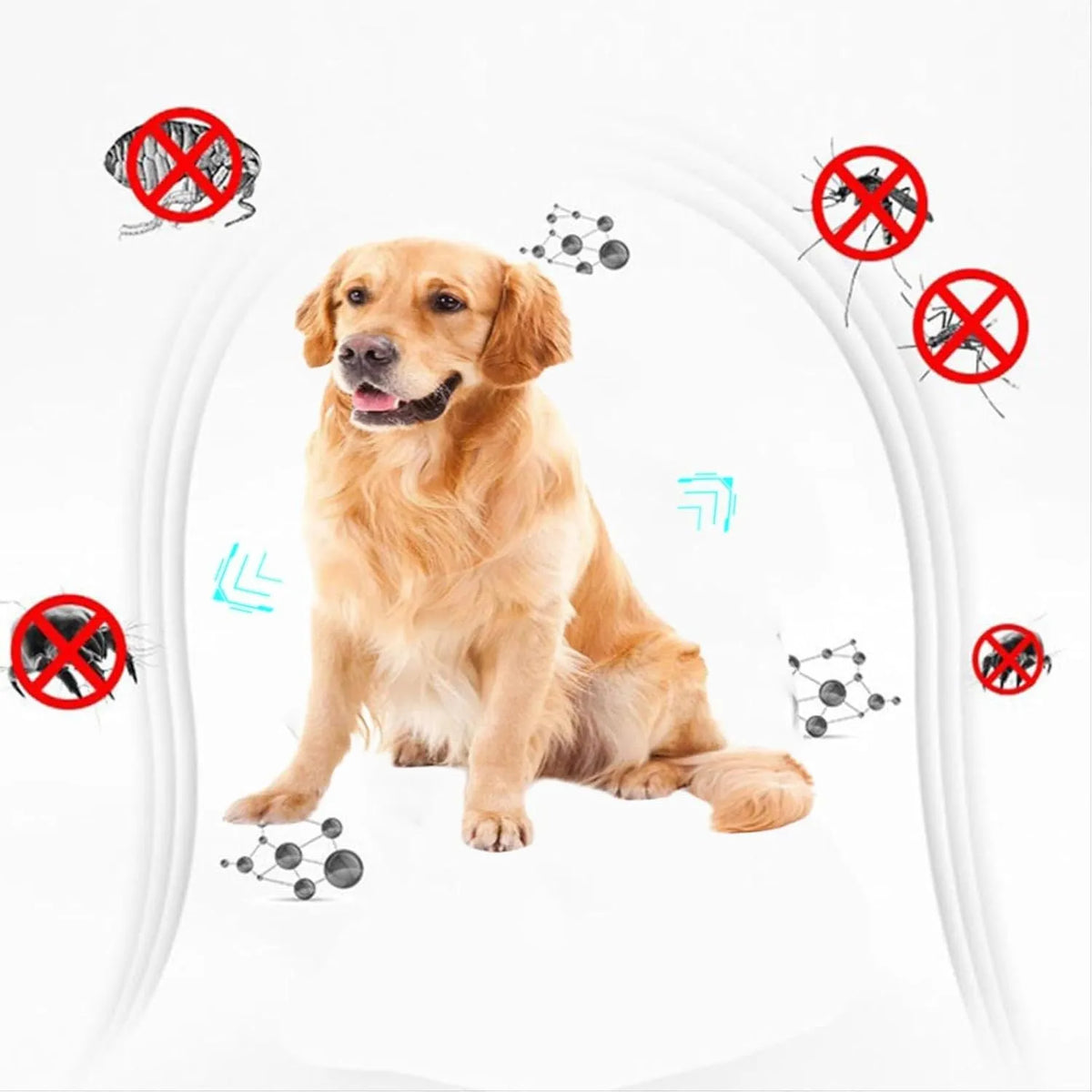 Double-sided plastic flea comb for pets showing dense teeth and compact size