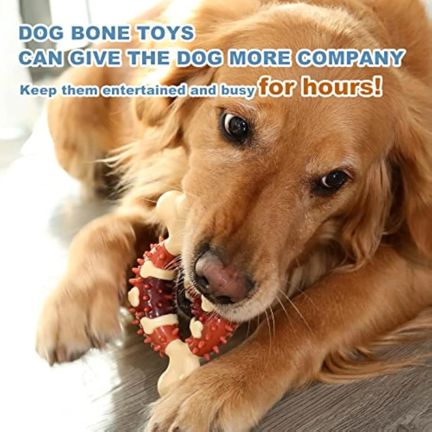 A natural rubber bone-shaped dog molar chew toy for teeth cleaning, shown in two sizes.
