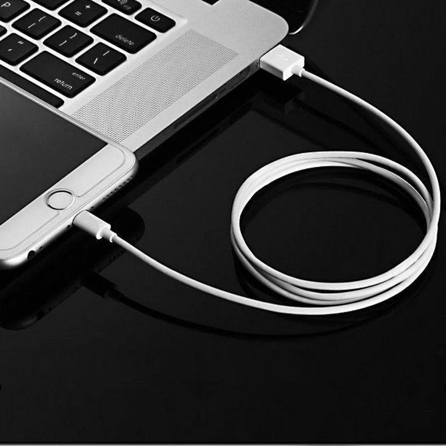5V 2A USB travel charger for iPhone and iPad models with USB interface