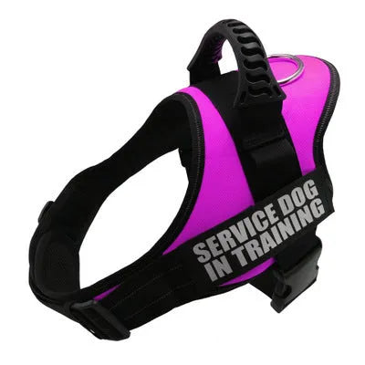 Customisable adjustable dog harness with reflective trim shown on a dog.