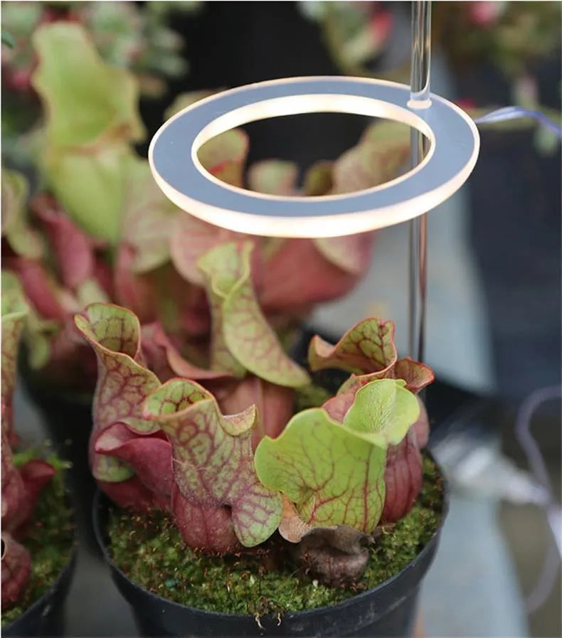 USB-powered full spectrum LED plant grow light with acrylic stick, shown in yellow light.