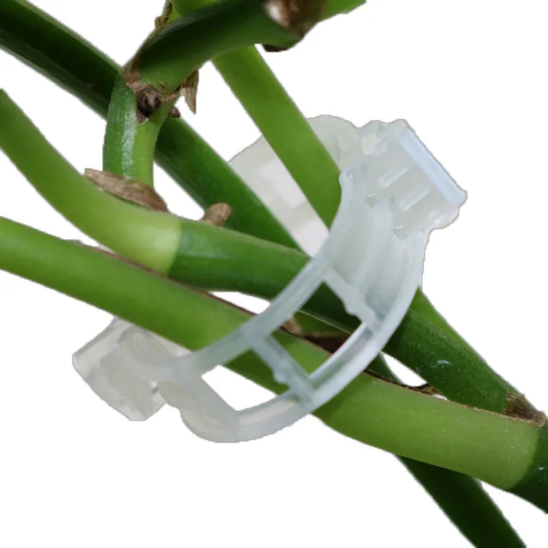 50 piece set of plastic garden grafting clips for securing tomato plants and flowers