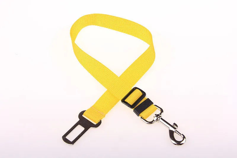 Adjustable dog car safety seat belt restraint in orange, 2.5cm width