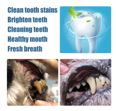 Pet teeth whitening pen with brush applicator for dog and cat tartar removal