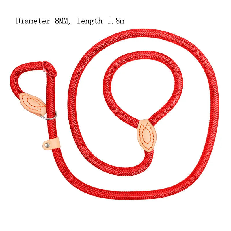 Blast race training 4-in-1 dog leash and automatically tightening collar set in multiple colour options