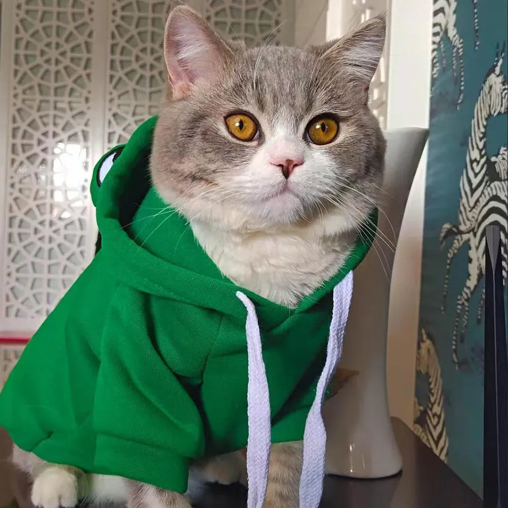 Green frog costume hoodie for small dog or cat with fleece material and front leg openings